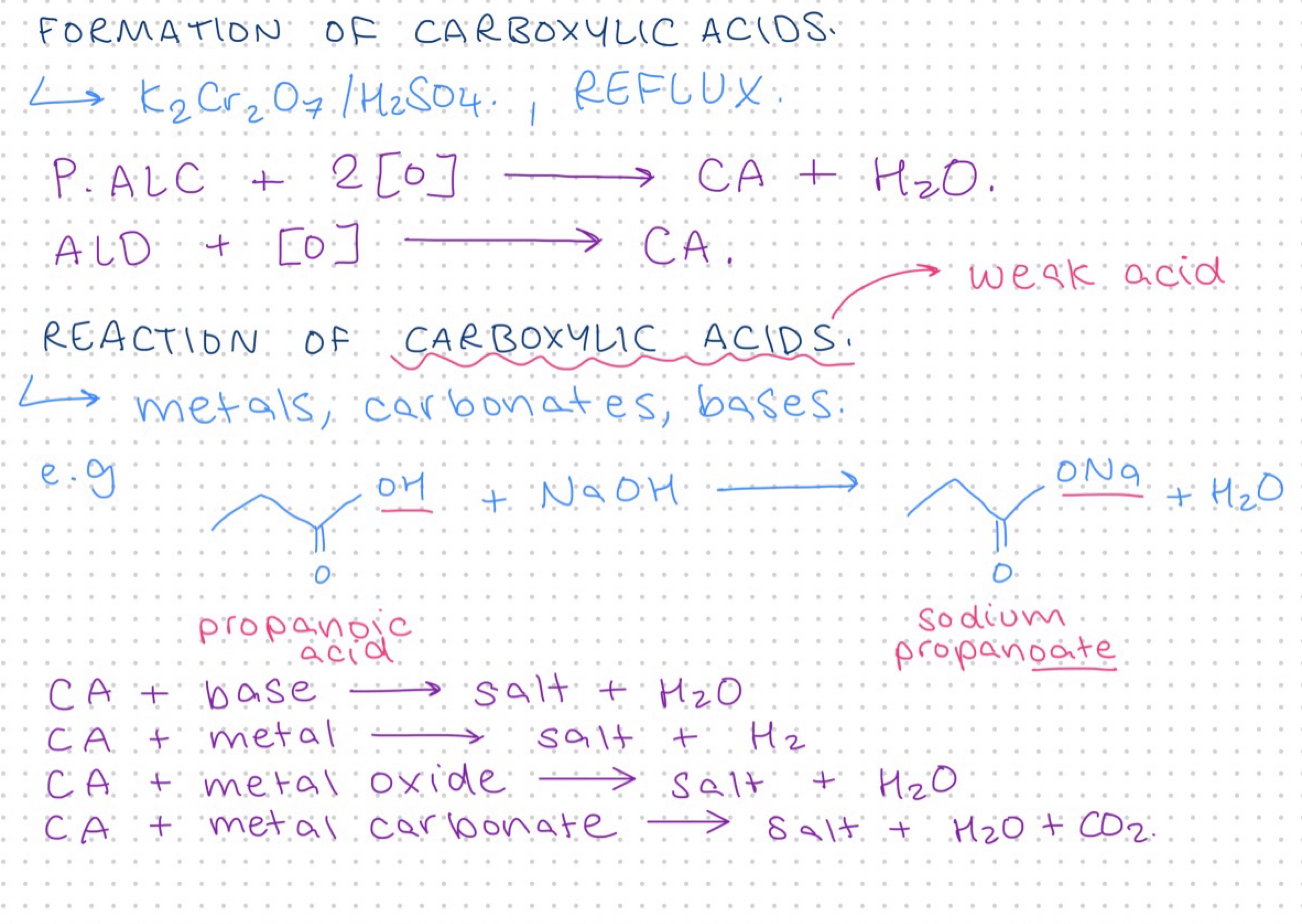 knowt flashcard image