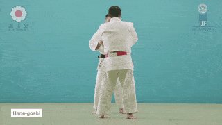 <p>Springing hip throw </p>