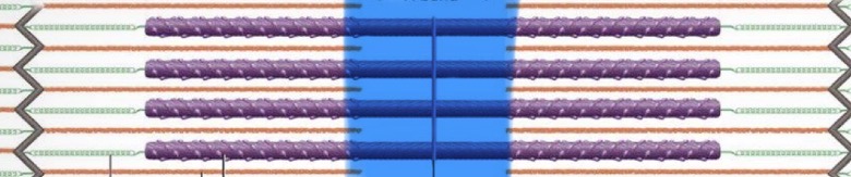 <p>only thick filaments; disappears when muscle contracts</p>