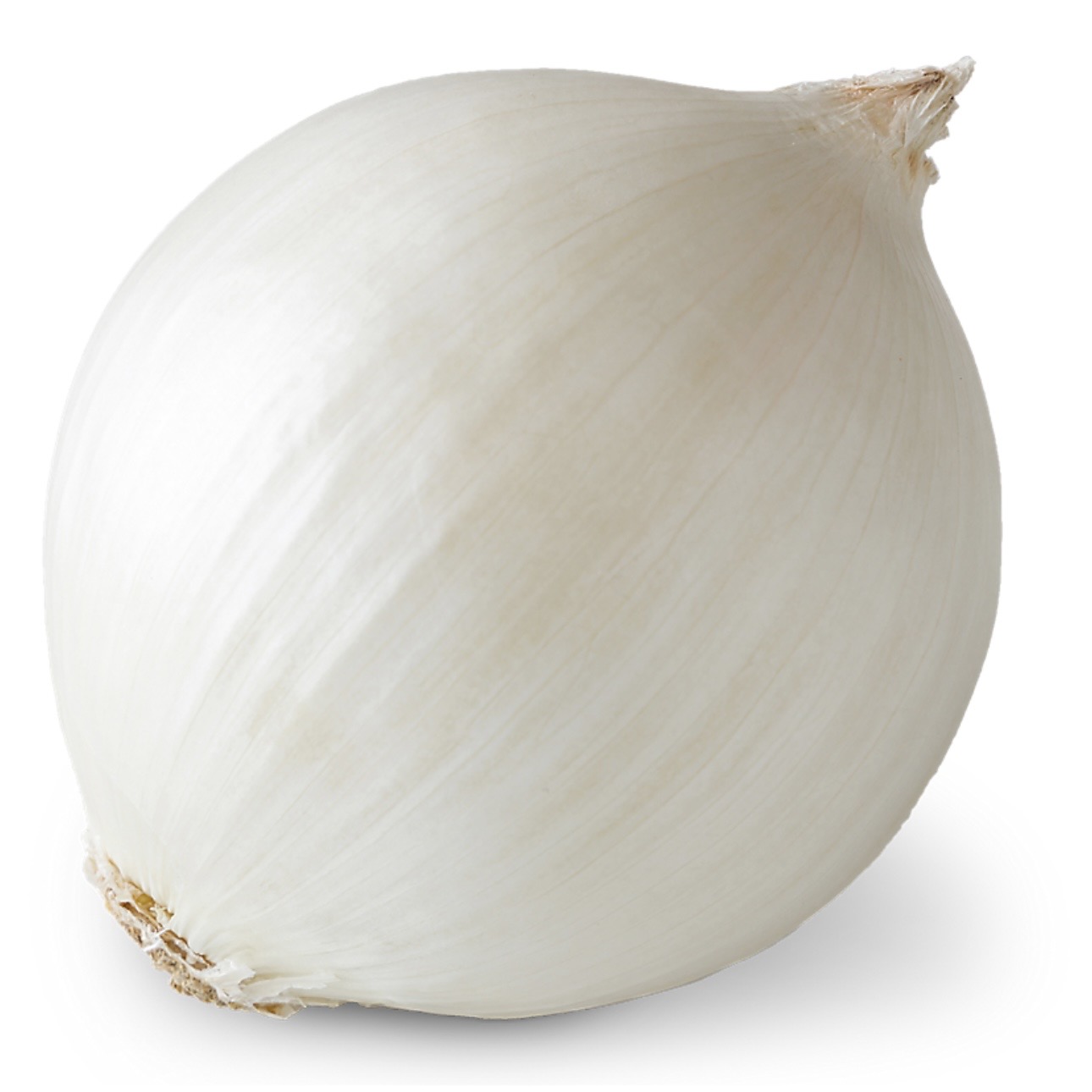 <p>White onion</p>