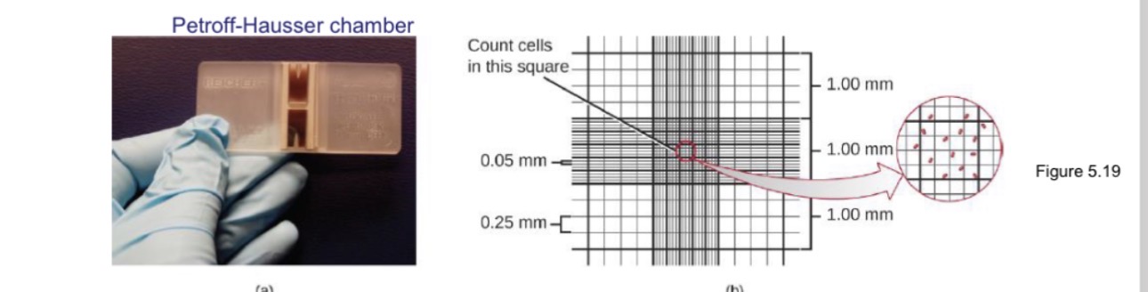 <p>The Petroff Hausser Chamber observed a very small liquid sample under a microscope</p>