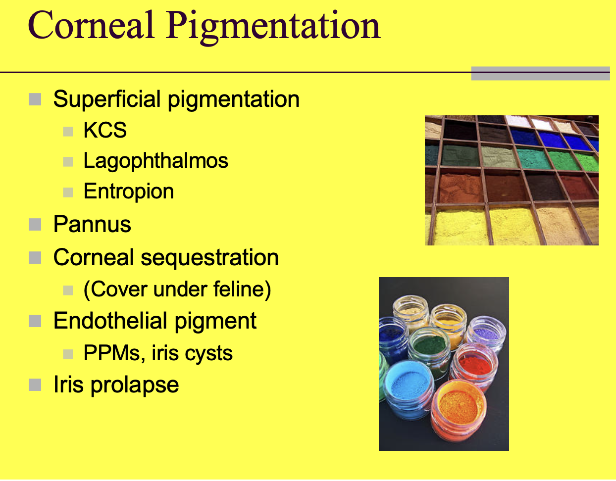 <p>Superficial pigmentation.</p><p>Pannus.</p><p>Corneal sequestration.</p><p>Endothelial pigment (PPMS, iris cysts).</p><p>Iris prolapse.</p>