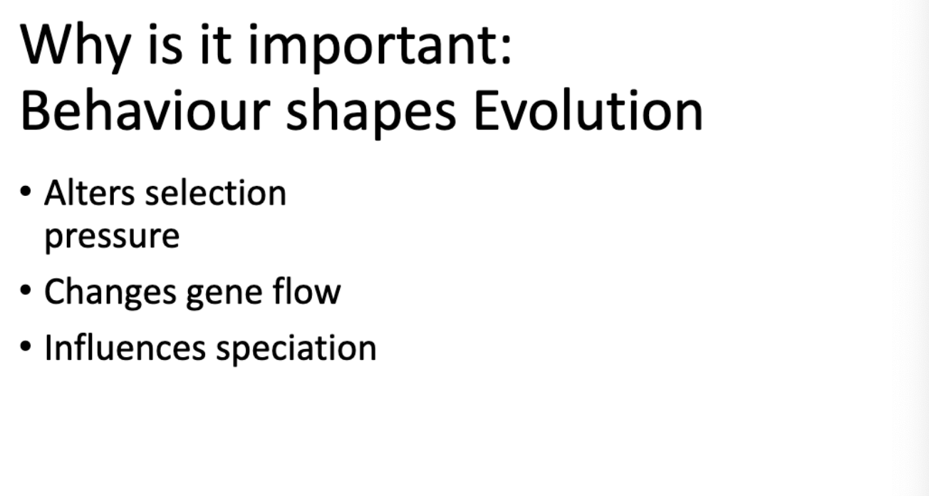 <p>Behavior shapes ecosystems!</p><p>-predator-induced fear affects </p><p>-foraging patterns affect vegetation</p><p>-social structure affects disease spread </p>
