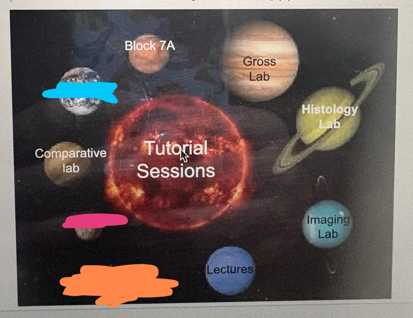 <p>What’s orange?</p>