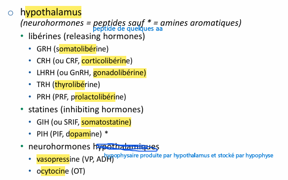 <p>en trouve pas d’hormones de l’hypothalamus dans la circulation uniquement localement au niveau de l’hypophyse</p>