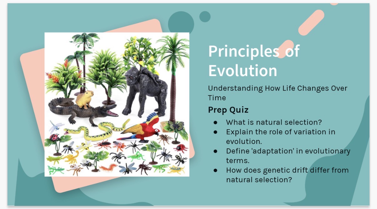 <ol><li><p>Answer image prep quiz?</p></li><li><p>Define the keywords, (“Evolution”) (“Natural selection”). (“Variation”) (“Phenotype”)</p><p></p></li></ol><p></p>