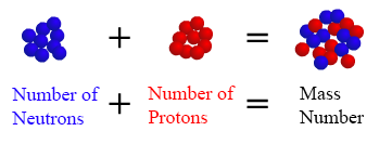 <p>The number of protons and neutrons added together, basically the nucleus of the atom.</p><p>Note: Exact mass number isn’t on periodic table, but it becomes the mass number once the atomic mass is rounded up.</p>
