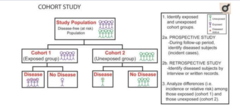 <p>1. Group of subjects (Smokers) + Comparison group (Non-smokers)</p><p>2. Follow up for both groups (incidence of cancer)</p><p>- Prospective: During follow-up period, identify diseased subjects (incident cases).</p><p>- Retrospective: Identify diseased subjects by interview or written records.</p><p>3. Compare the outcomes of the two groups and draw conclusions</p>