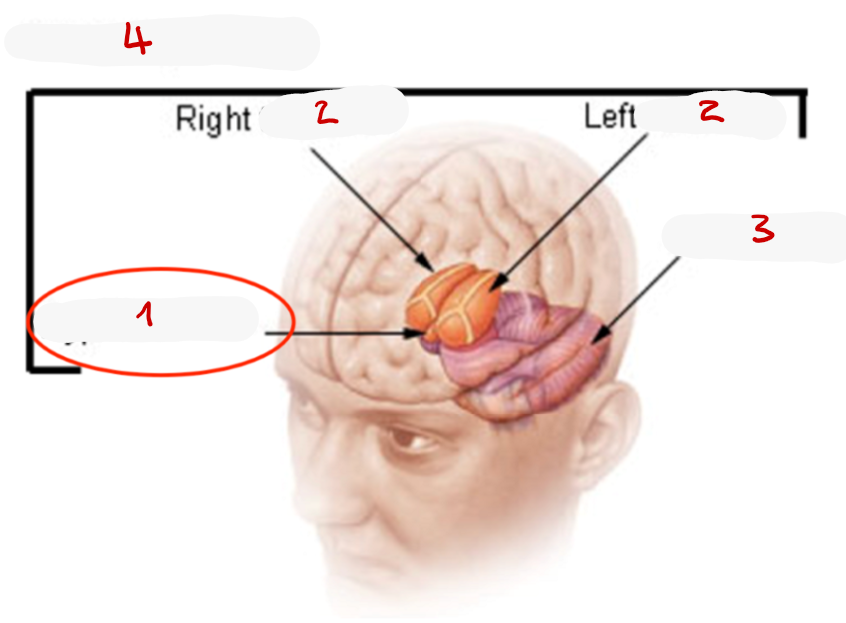 <p>2? </p>