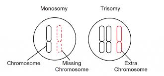 <p>Monosomy</p>