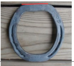 <p>what kind of shoe is this</p>