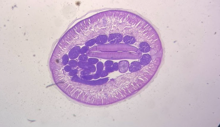 <p>What is this?</p>