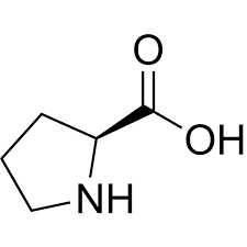 <p>Proline.</p>