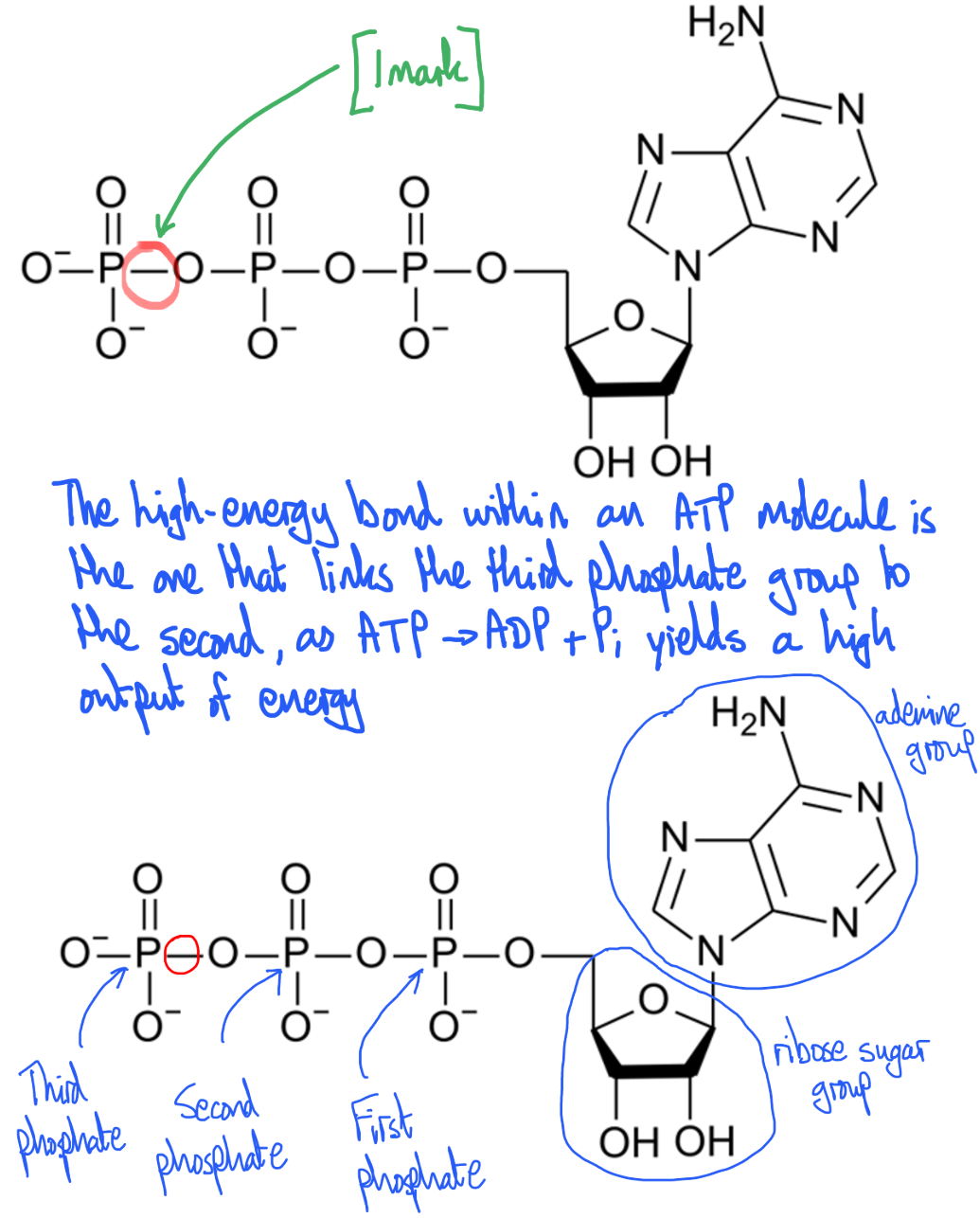knowt flashcard image