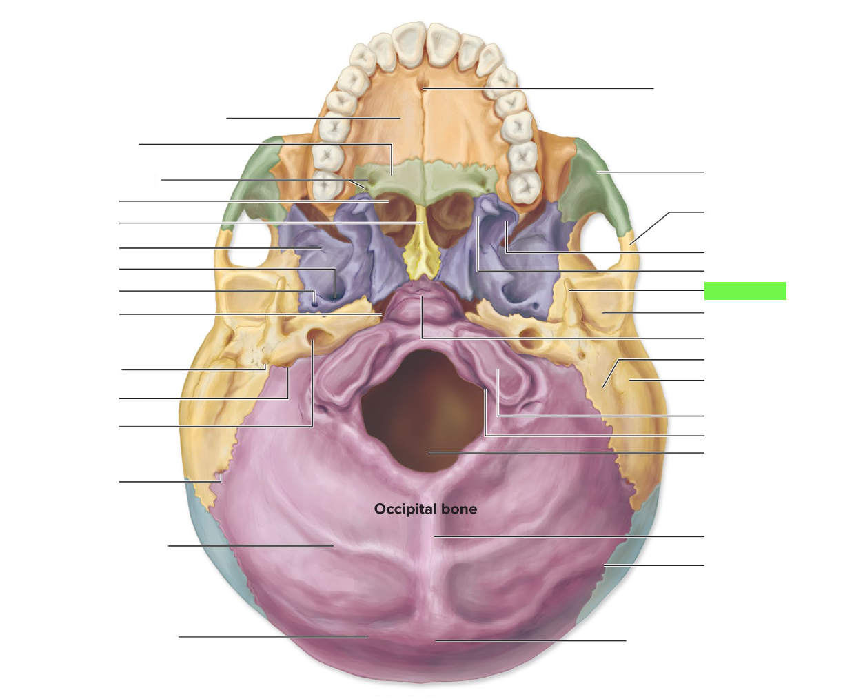 knowt flashcard image
