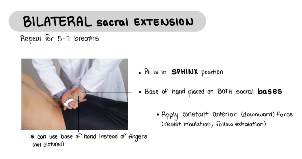 <p>Pt sphinx pose</p><p>Locate sacral bases with two fingers of one hand. Other hand covers the two fingers.</p><p>Optional: loose pack the legs</p><p>Resist on inhale and follow through on exhale 7-10 times.</p><p>Reassess.</p>