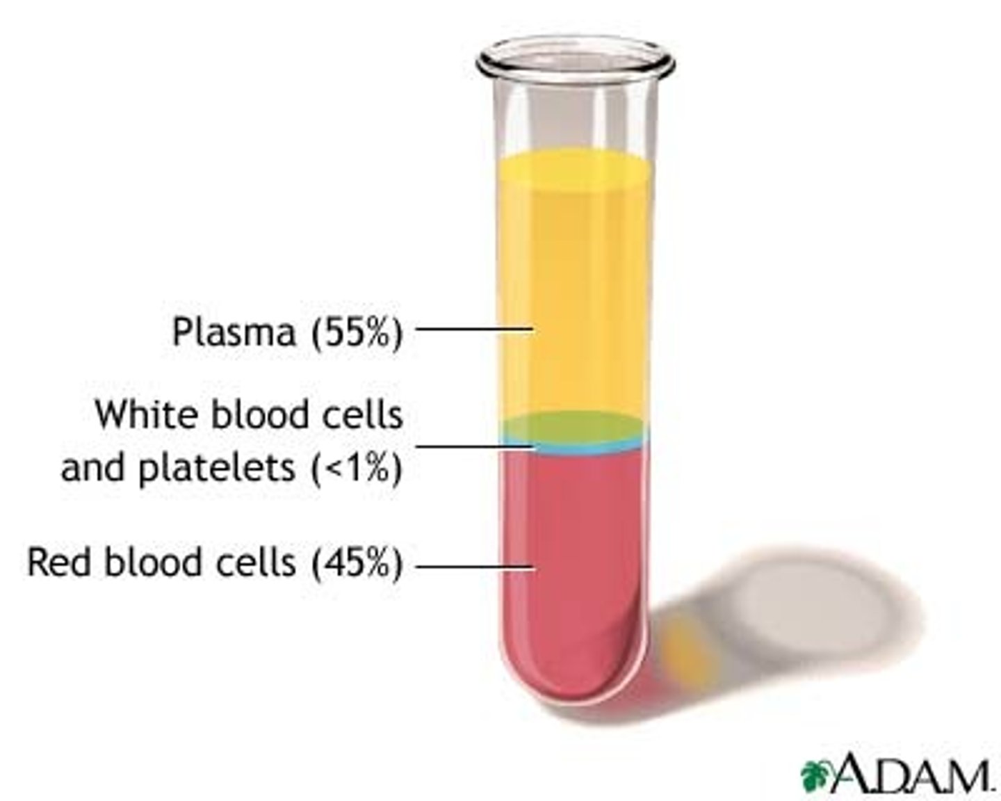 <p>Percentage of erythrocytes in a volume of blood</p>
