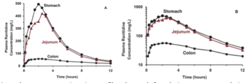 <ul><li><p>There can be regional differences in where a drug is absorbed</p></li><li><p>drugs with very low permeability are likely to be incompletely intestinally absorbed</p><ul><li><p>show low bioavailability because of the limited time in the small intestines where permeability is the highest</p></li></ul></li></ul><p></p>