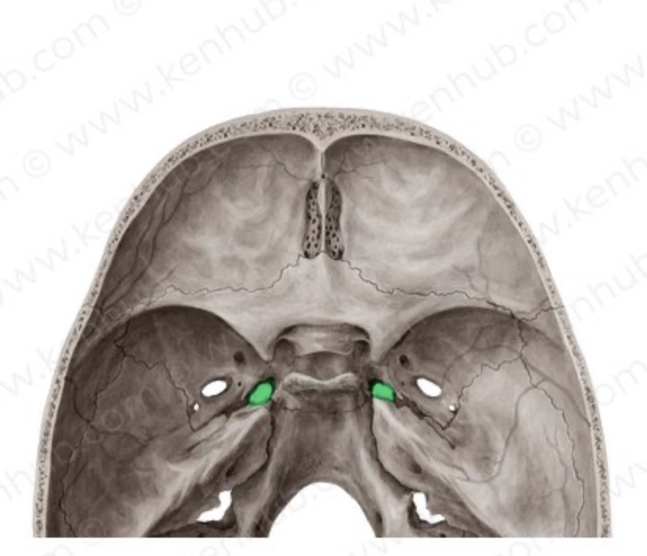 <p>what is this?</p>