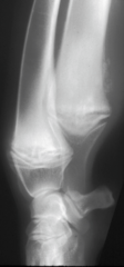 <p>Diagnosis?</p>