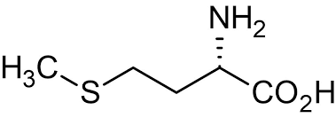<p>What amino acid is this (including abbreviation)? How is it categorized?</p>