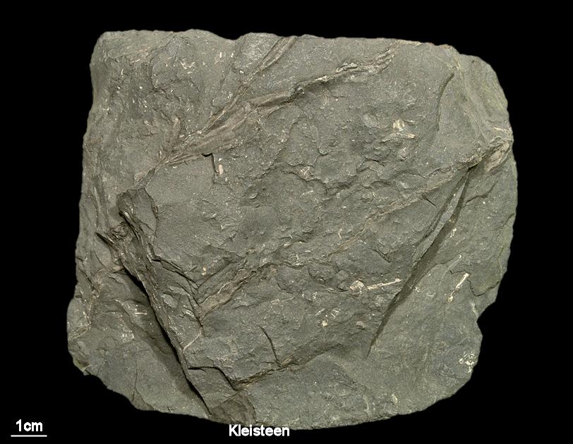 <p>Kleisteen</p>