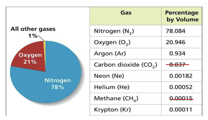 <p>nitrogen, 78%</p>
