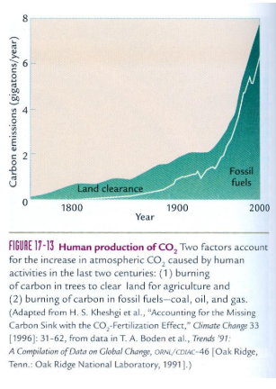 <p>Fossil fuels and land clearance - increases CO2 emissions </p>