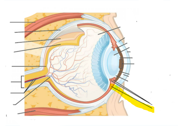 <p>What is this highlighted</p>