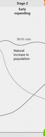 <p>Birth rate: <strong>High</strong></p><p>Death rate: <strong>Decreasing</strong></p><p>Population change: Rapid <strong>increase</strong><br>Example country: <strong>Ethiopia</strong></p>