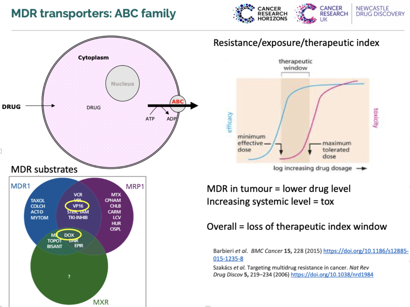 <ul><li><p><strong>ABC transporters</strong> use ATP → ADP to pump drug out of cell</p></li><li><p>Leads to reduced intracellular <strong>drug levels</strong></p></li><li><p>MDR substrates include drugs across:</p><ul><li><p><strong>MDR1, MRP1, MXR</strong> (overlapping substrates)</p></li></ul></li><li><p>Effects:</p><ul><li><p>MDR in tumour = <strong>lower drug level</strong></p></li><li><p>Increasing systemic level = <strong>toxicity</strong></p></li><li><p>Overall = <strong>loss of therapeutic index window</strong></p></li></ul></li></ul><p></p>