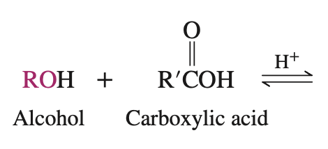 <p>Fischer Esterification</p>