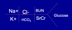 <p>Top: Na -> Cl -> Bun</p><p>Bottom: K -> HCO3 -> SrCr</p><p>Far right: Glucose</p>