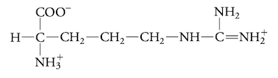 <p>charged aa</p>