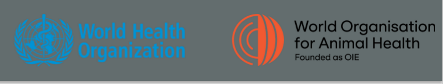 <p>intergovernmental agencies that promote global one health…</p><p>the WHO &amp; WOAH created the IHR-PVS national bridging workship to combine the human &amp; ani piece of one health.</p><p>.</p><p>describe what this workshop is </p>