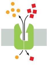 <p>What type of pump is this> </p>