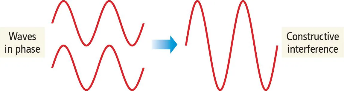 <p>waves align with overlapping crests</p>