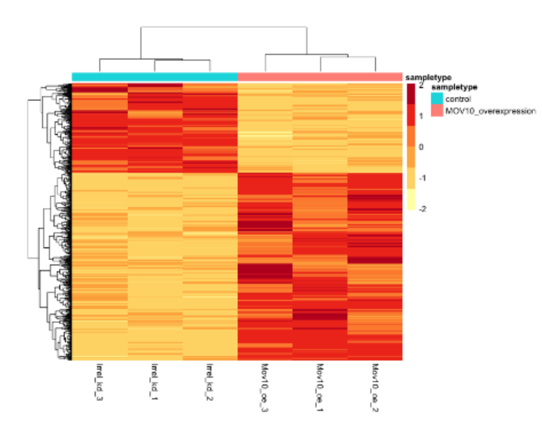 <p>what are the rows representative of?</p>