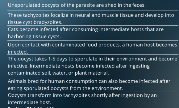 <p>order the life cycle of a indirect life cycle</p>