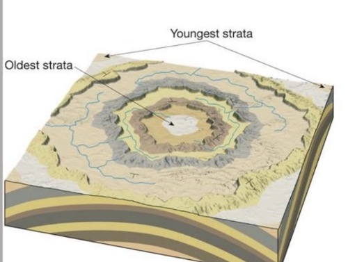 <p>circular structure with oldest rocks in center</p>