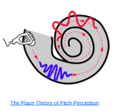 <p>Place Theory </p>