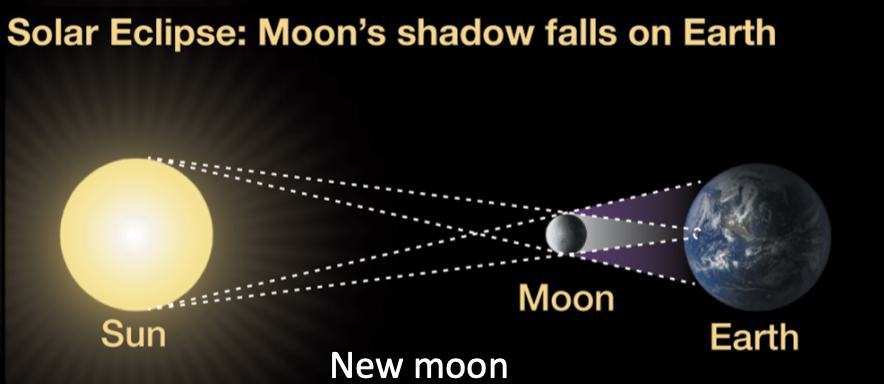 <p><br><span>New Moon</span><br><br><span>The Moon is between the Sun and Earth</span><br><span>The Moon blocks the Sun from our view</span></p>