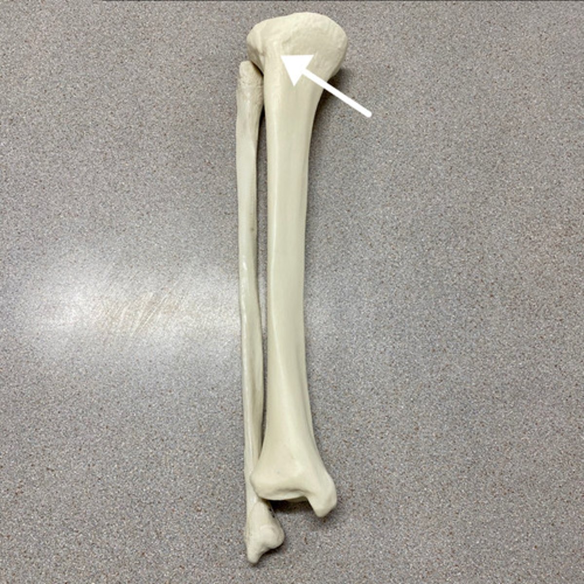 <p>What is this?</p>