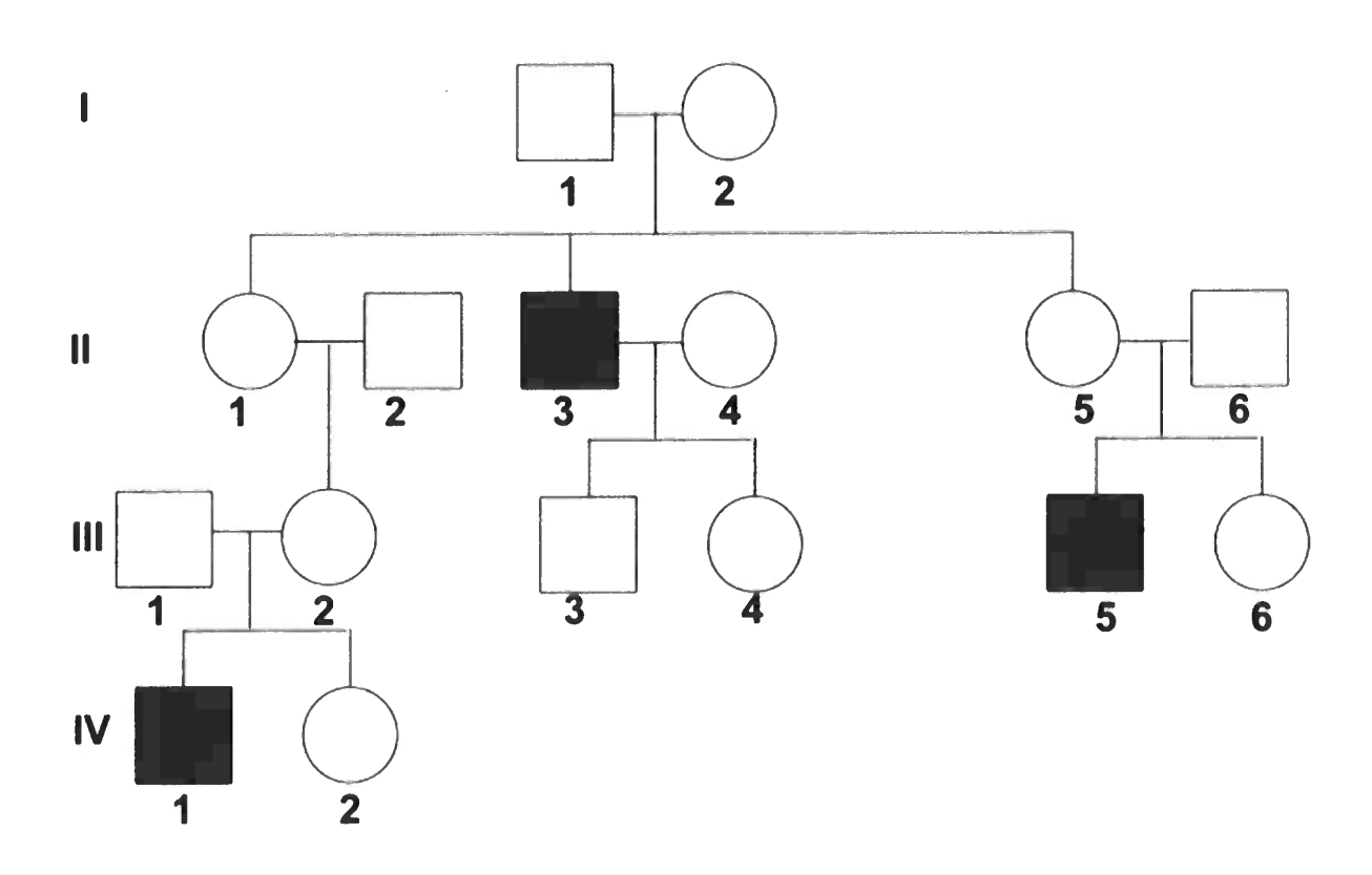 <p>with the following chart, answer:<br>Is this an autosomal or sex related condition?</p><p>Use a punnet square to work out the genotype of individuals in first generation.</p><p class="p1">Workout of the genotype of all individuals in 2nd generation (may not be possible for some)</p>