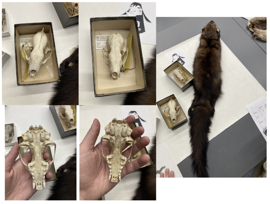 <p>What is this?</p>