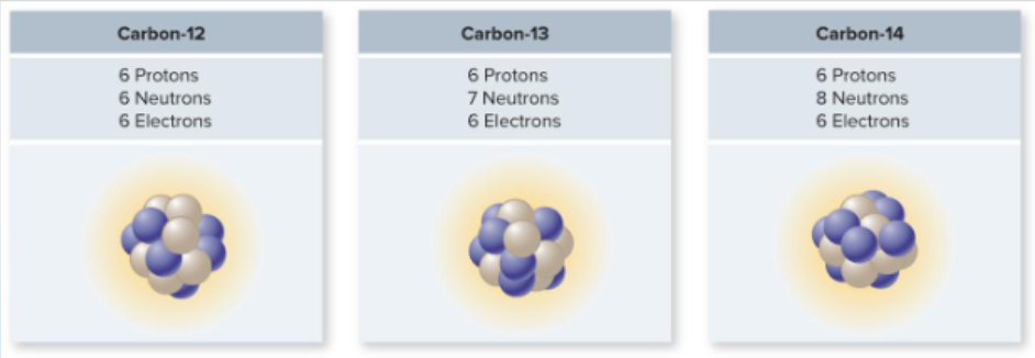 <p>Different forms of the same chemical element that have the same number of protons (and electrons) but a different number of neutrons, which changes the atomic mass</p>