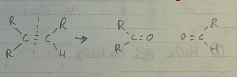 <p>Ozonolysis (cut and cauterize)</p>