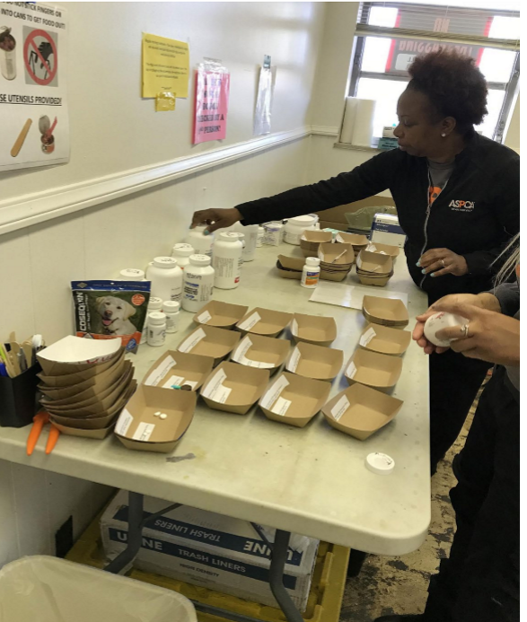 <p>who’s DEA license will be used if using controlled substances? </p><p>how are we going to ensure each drug is properly stored?</p><p>.</p><p>set out trays → write ani name, med, &amp; dose on it → fill trays &amp; have another person double check them</p><p>.</p><p>illness, injury, behavior issues, missing cage ID, etc.</p>