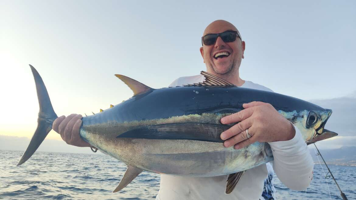 <p><strong><em><u>Memory Trick: Albatross = Big bird = Longest Pectoral fins</u></em></strong></p><p><em>pectorals move past anal fin and 2nd dorsal</em></p><ul><li><p><strong>General:</strong> Streamlined with very long pectoral fins and a metallic blue back fading to silver sides.</p></li><li><p><strong>Size:</strong> Avg. adult <strong>60–100 cm (24–39 in; 2.0–3.3 ft)</strong>, <strong>4–15 kg (9–33 lb)</strong>;</p><ul><li><p>large adults commonly reach (39–47 in; 3.3–3.9 ft) and (44–55 lb).</p></li></ul></li></ul><ul><li><p>No body spots or stripes.</p></li><li><p><strong>Slender</strong> tuna body, smaller than bluefin; more <strong>elongated </strong>than bonito.</p></li></ul><p></p>