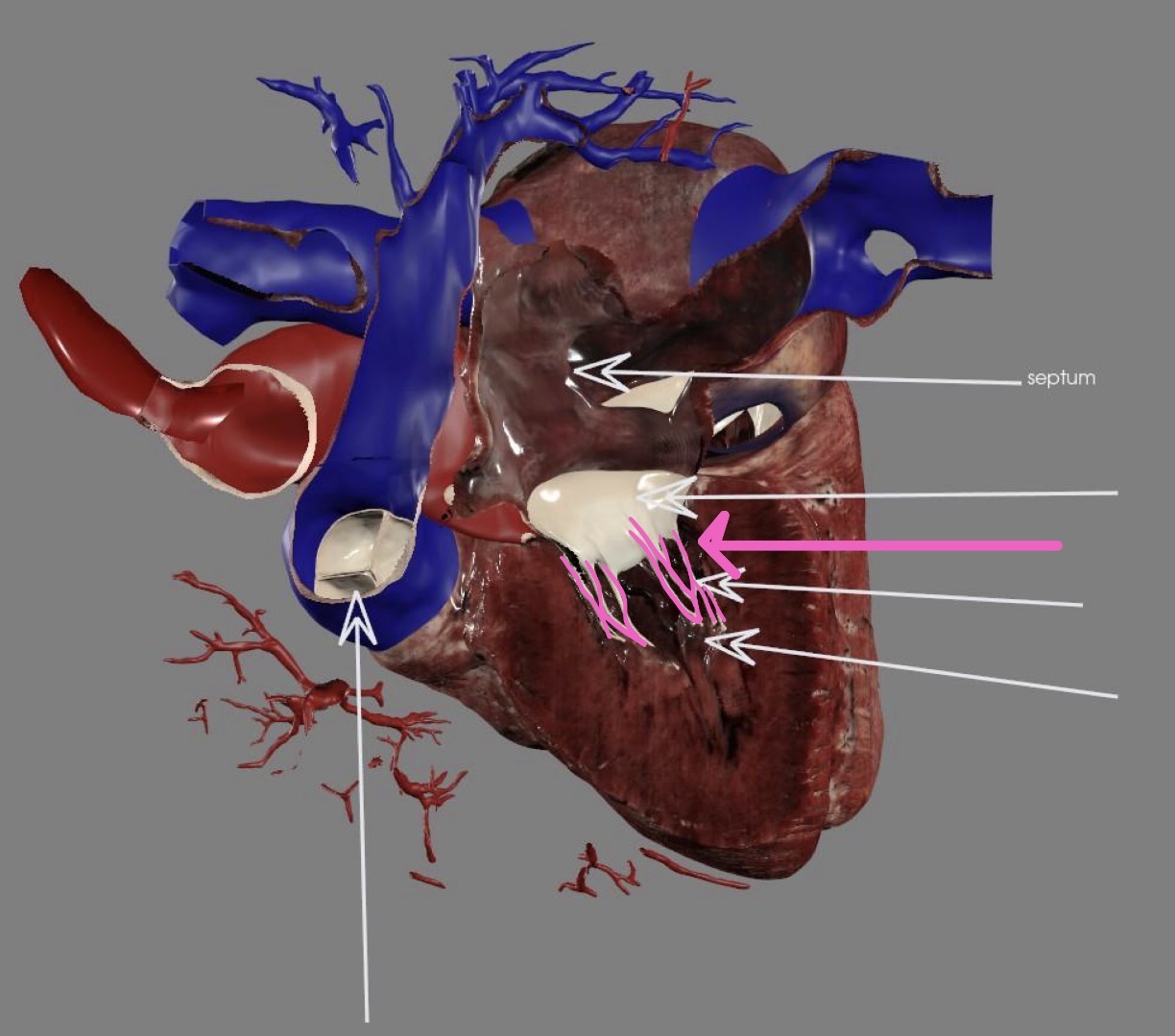 <p>What’s the highlighted area?</p>